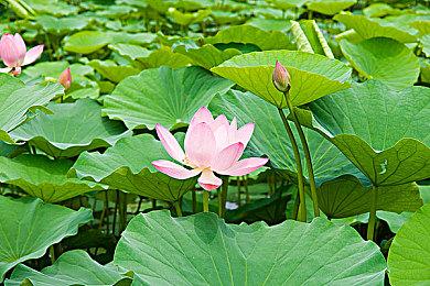 《黑相集：心中魔》全新预告 神秘的连环杀手